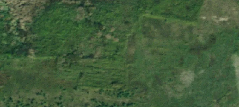 Nys Rte 417