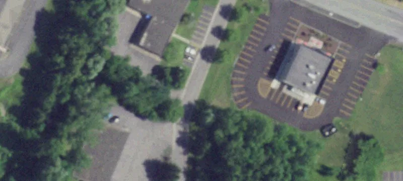 Blossom Dr