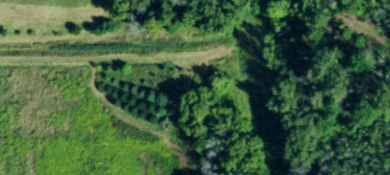 Ransomville, NY 14131