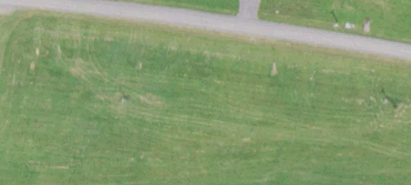 Carlisle, NY 12031