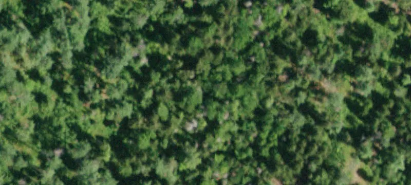 230 Windfall Rd