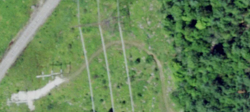 Backus Rd