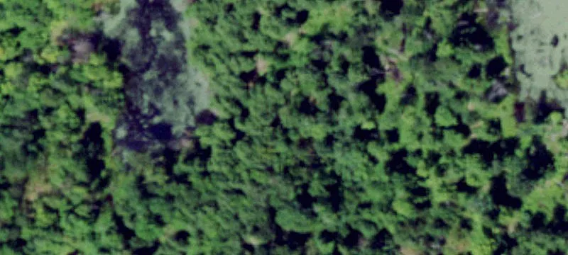 Edwards, NY 13635