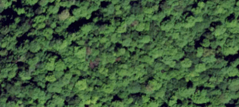 Harrisville, NY 13648