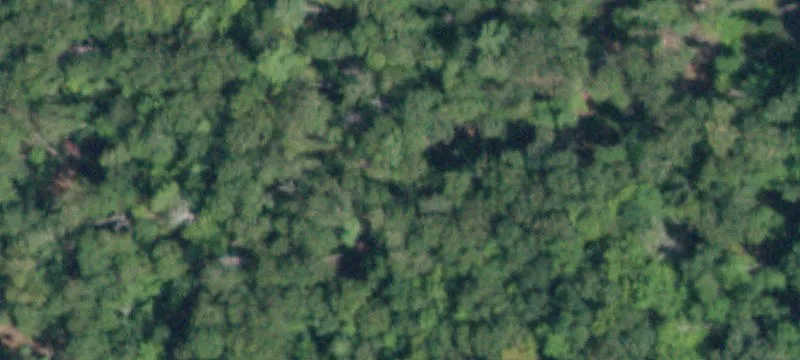 Woods Rd