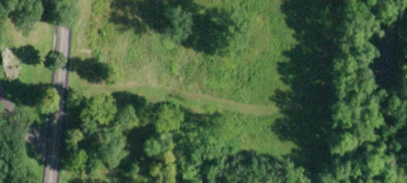 Woods Rd