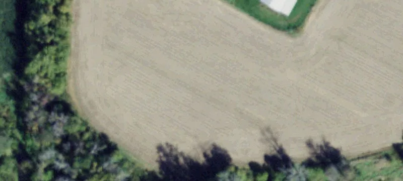 Campbell, NY 14821