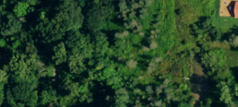 Nys Rte 16