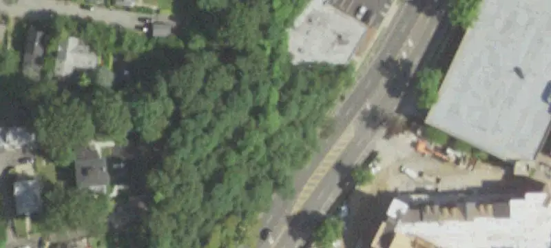 Brewster St