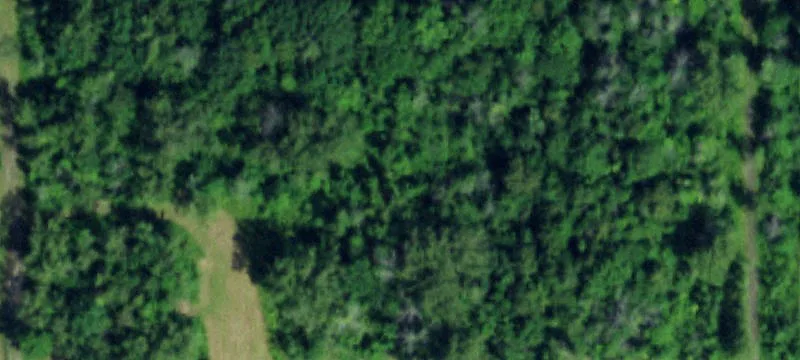 Pletcher Rd