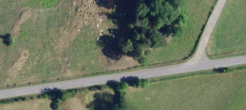 Warren Rd