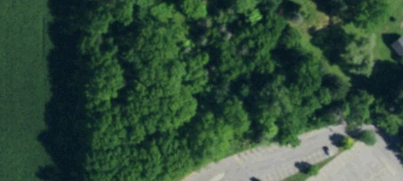 Lewiston Rd