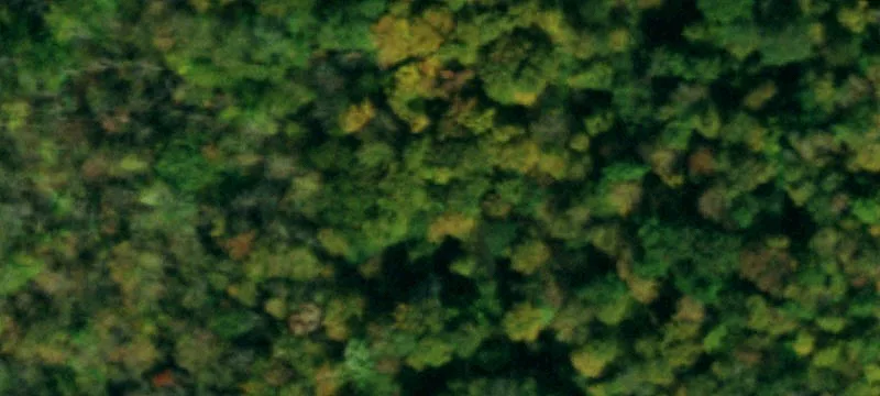Bear Crk Rd