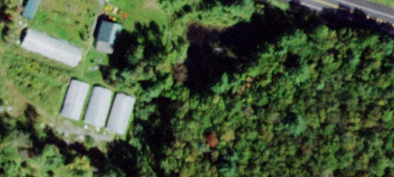 3195 State Rte 52