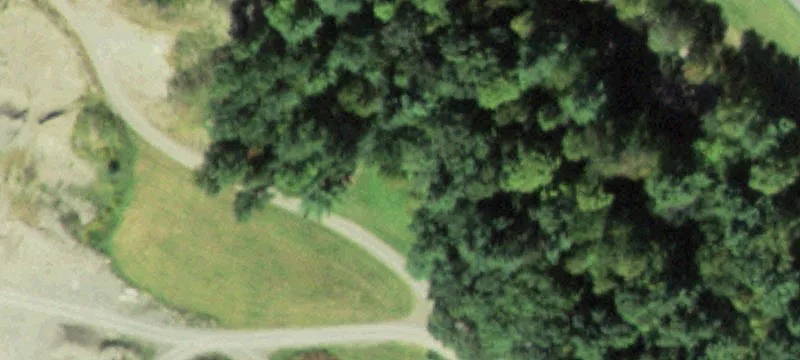 2572 Steam Ml Rd
