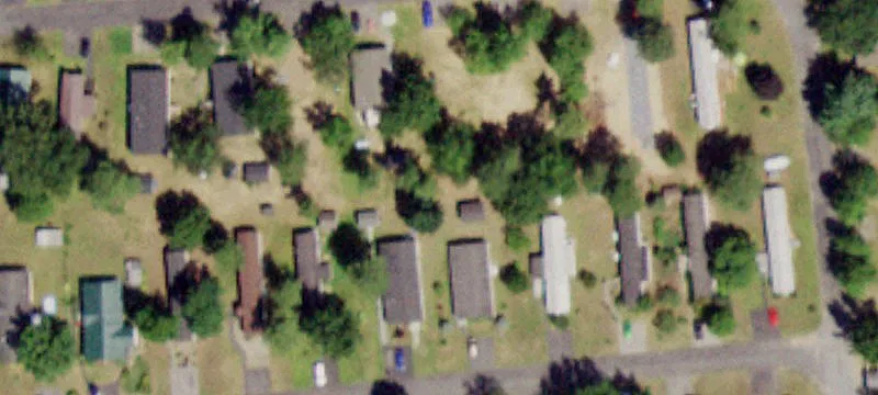 Petrie Ln