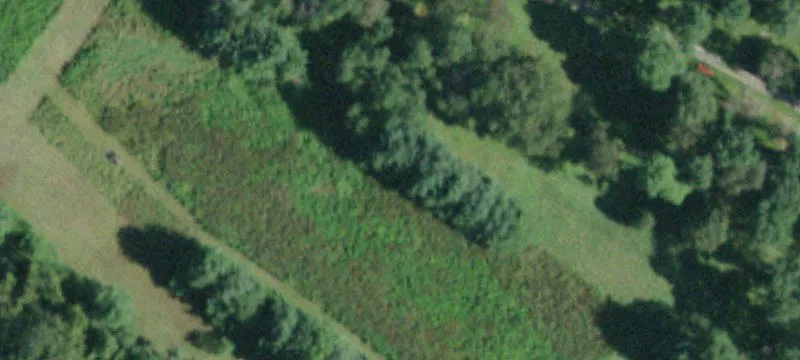 408 Lk Mls Rd