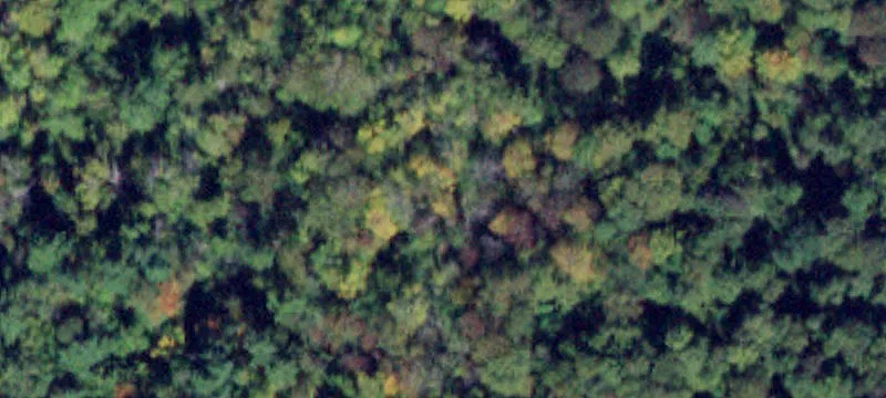 State Rte 104