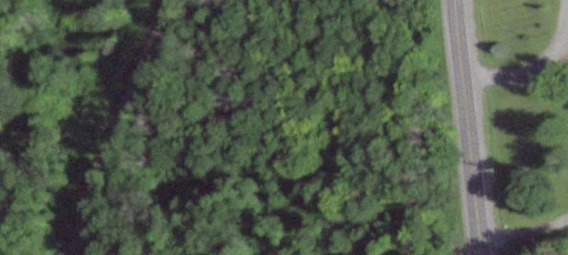 Rte 22