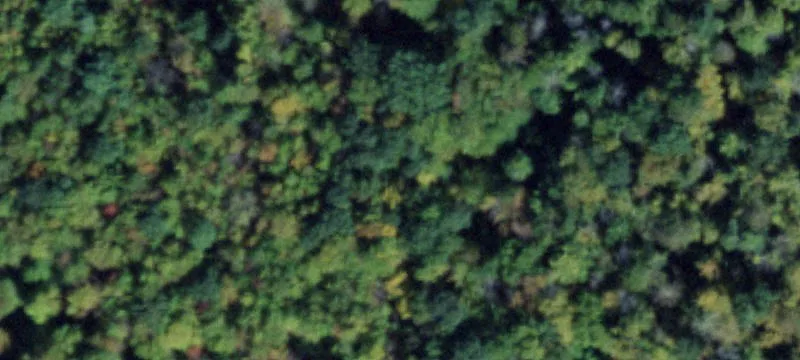 85 Community Dr