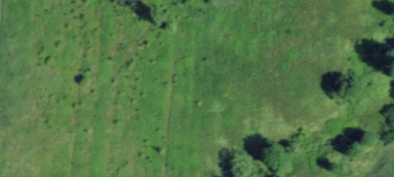 Dubois Rd