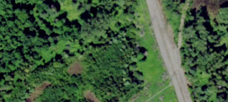 Tibbetts Dr