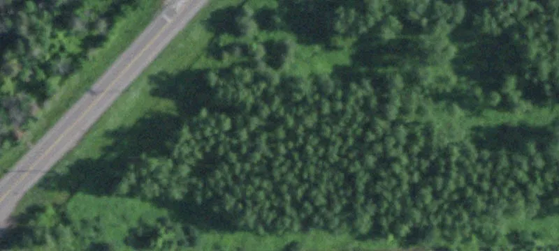428 Attridge Rd