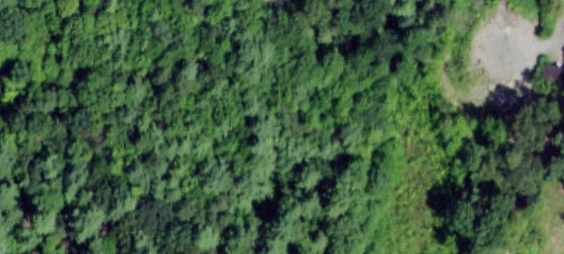 Us 20