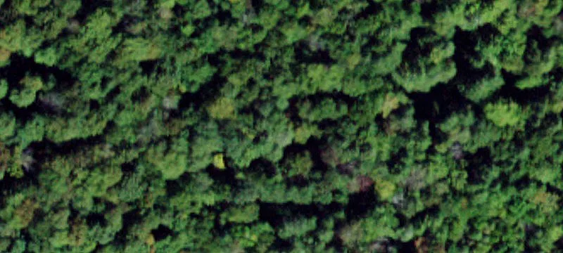 Thompsonville Rd