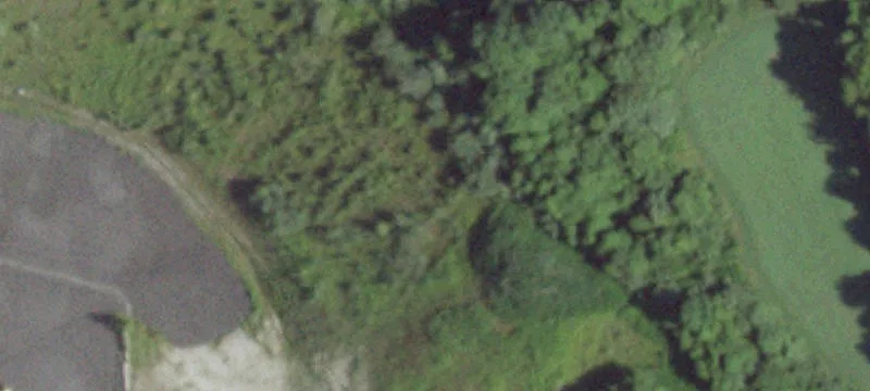 Rte 22