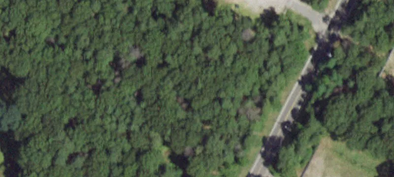 Mnr Yaphank Rd