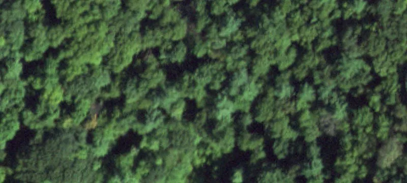 Rte 213