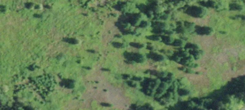 Shingle St