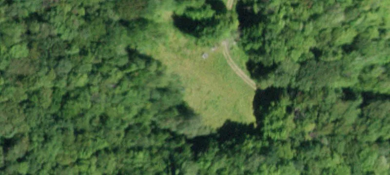 Galli Curci Rd