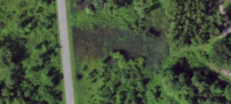 Guy Young Rd