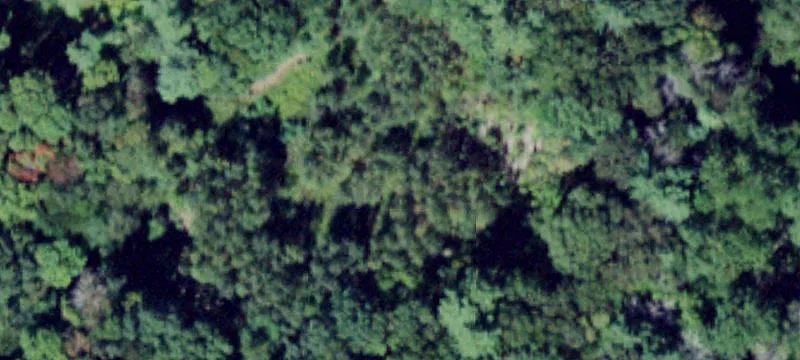 State Rte 209