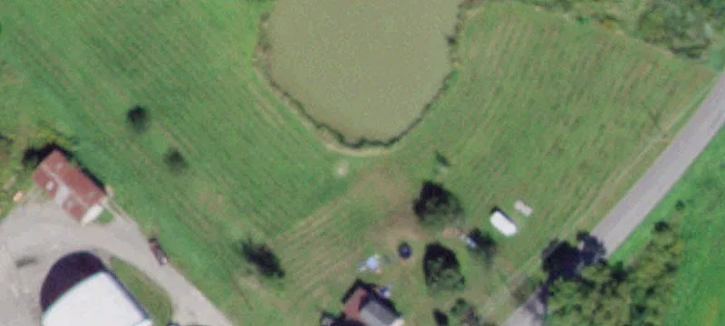 Nichols, NY 13812