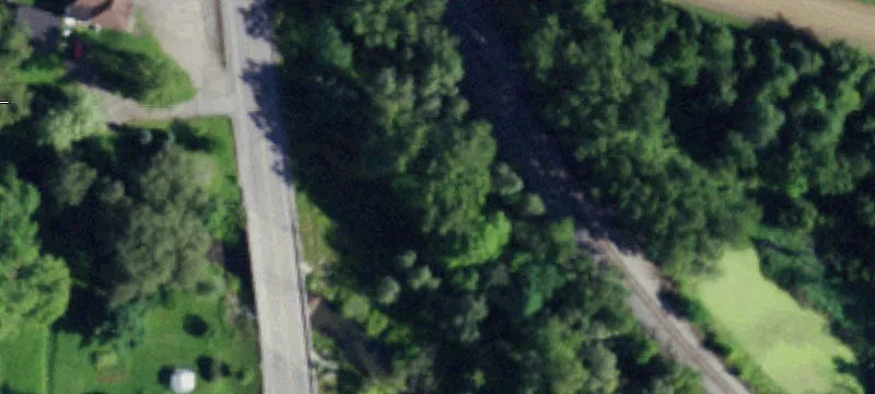 Rte 19