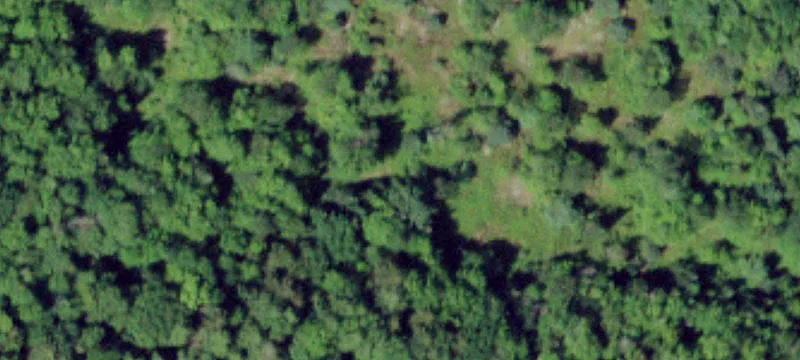Forestport, NY 13338