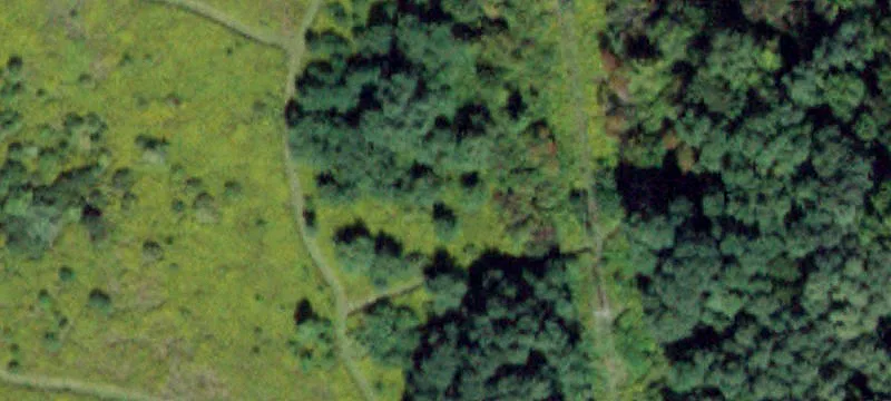 Bundy Rd