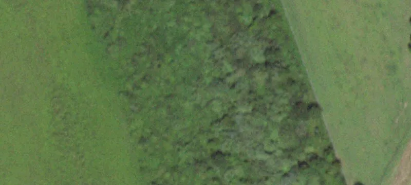 Rte 25