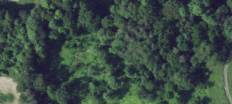 Stump Rd