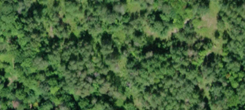 Sternberg Rd