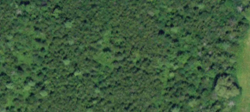 Schoharie Tpke