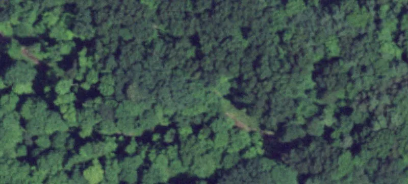 Log Cabin Rd