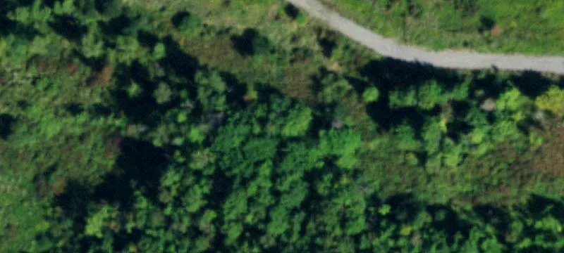 Other Transmission Land