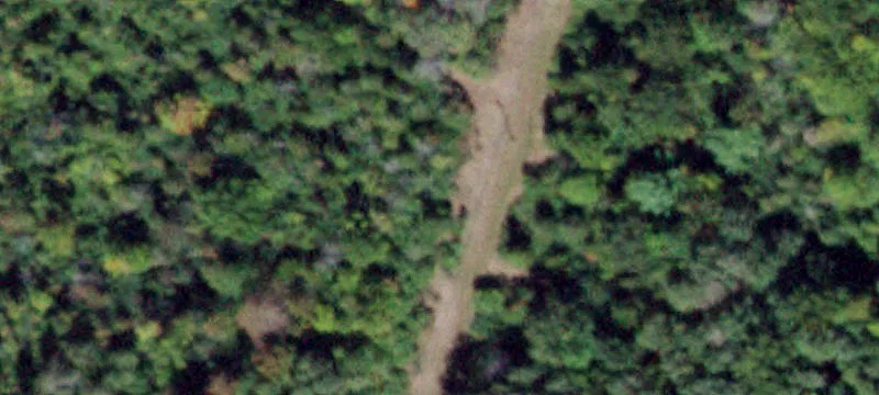 Sp Fran