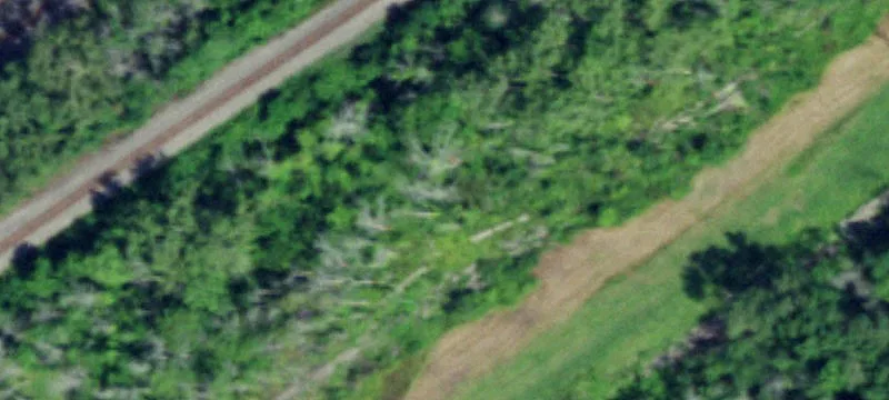 Seneca Rd