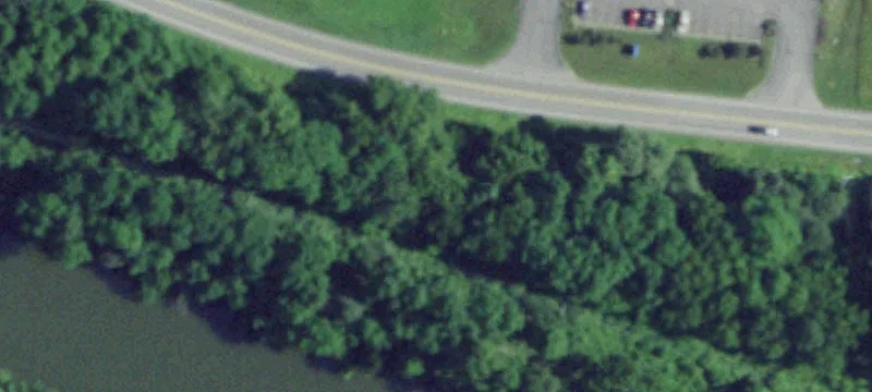 Ww Shr Blvd
