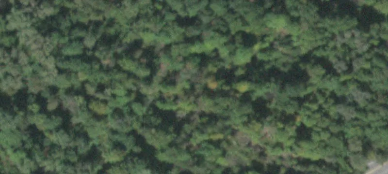 Rte 9d